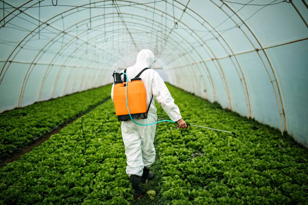 Best Best Pest Control Companies  in Hunter, OH