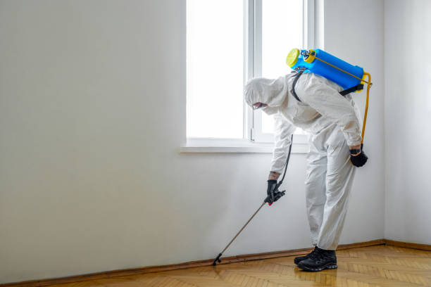Best Pest Prevention Services  in Hunter, OH