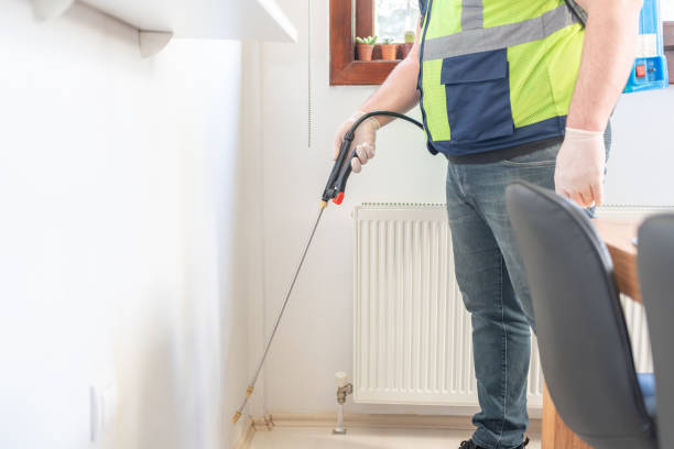Best Termite Control Services  in Hunter, OH