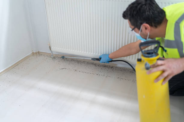 Pest Control for Restaurants in Hunter, OH