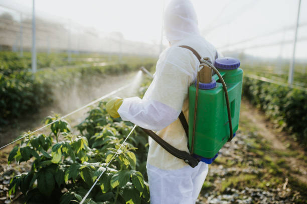 Reliable Hunter, OH Pest Control Solutions